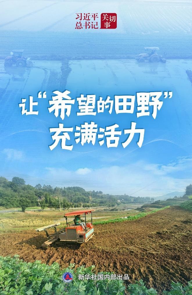 习近平总书记关切事|让“希望的田野”充满活力