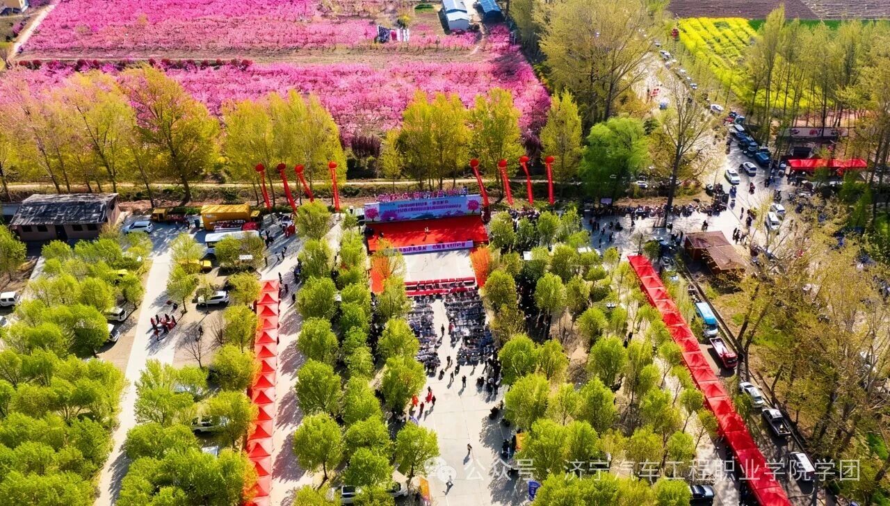 桃映马年，服章之美|我院学子赴贾堌堆桃花节，以青春国风助力乡村振兴
